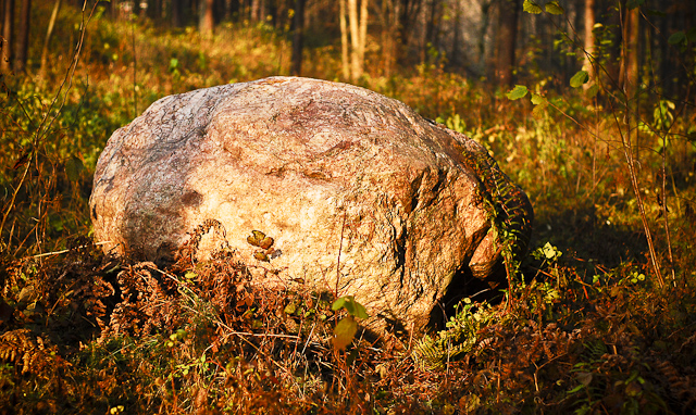 Stovyklos puntukas
