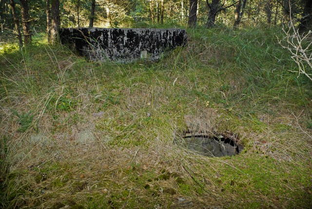 Anga anglims pakrauti