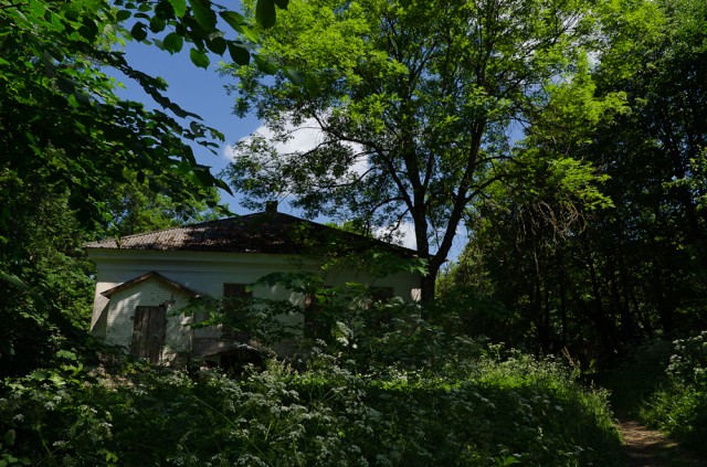 Lietuviškos džiunglės