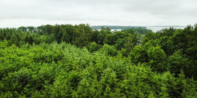 Panorama nuo apžvalgos aikštelės