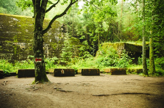 Svečių bunkeris (6)
