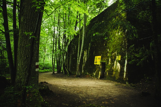 Bormanno bunkeris (11)