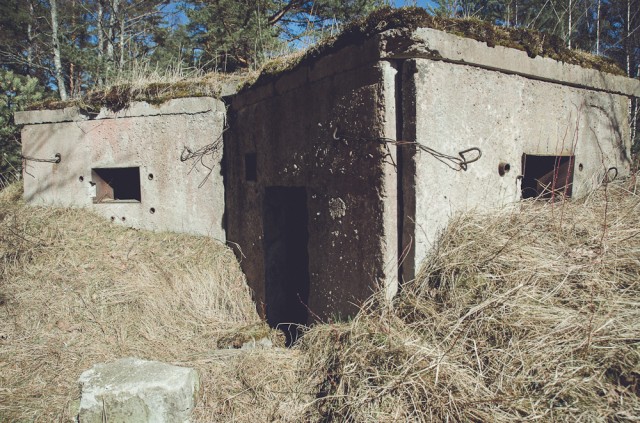 Vargu ar kelias granatas atlaikytų