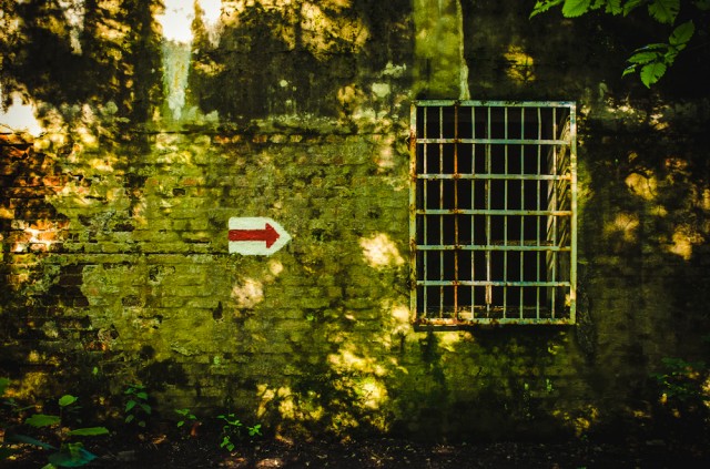Grotuotas nedidelio pastato šalia garažų langas