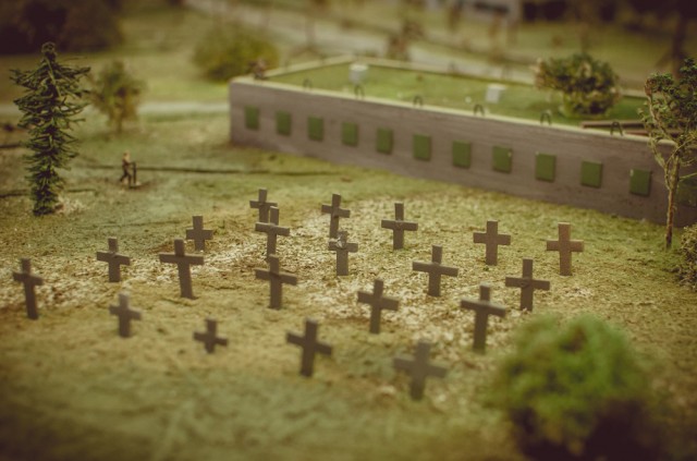 Kapinaitės prie Oro Pajėgų Atstovybės