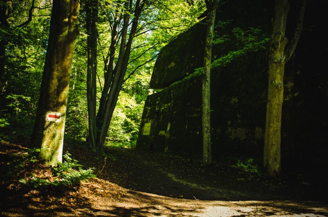 Göringo bunkeris (16)