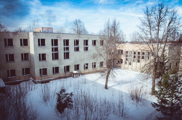Vidinis instituto kiemas