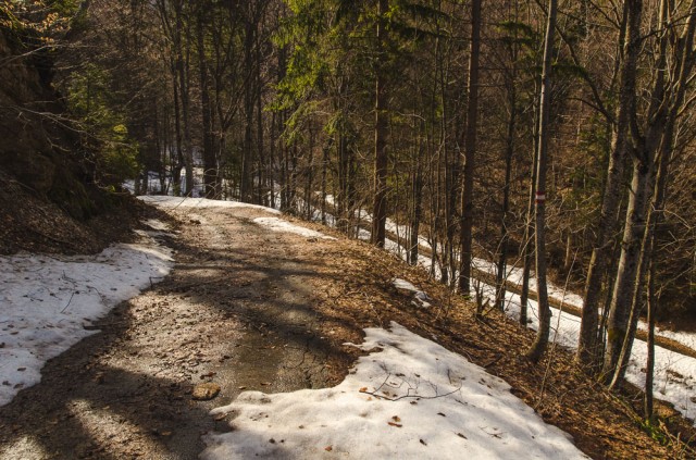 Vingiuotas keliukas į vilą
