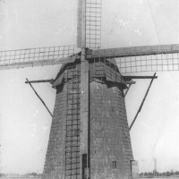 Steigvilių vėjo malūnas 1979 m. liepos 24 d.