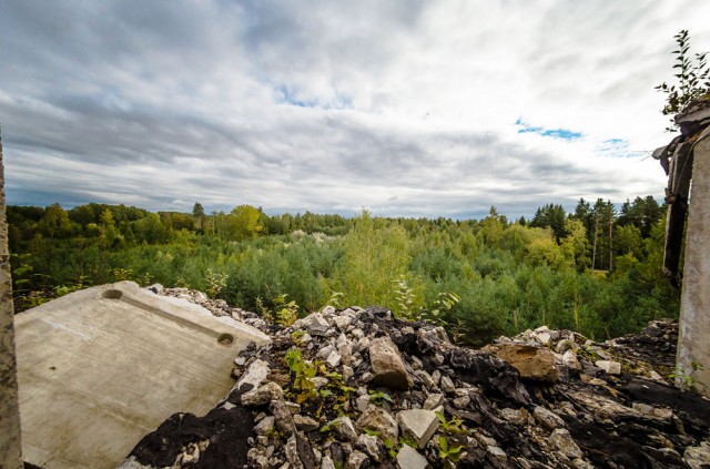 Miškų panorama iš penkto aukšto