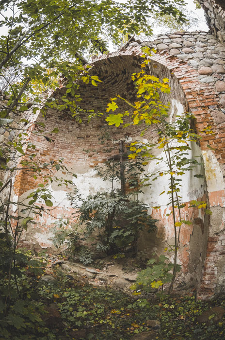 Kažkas ne per seniausiai po altoriumi ieškojo lobio