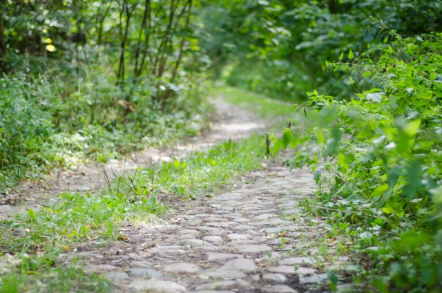 Dabartiniai vingiai vargu ar primena vaizdą iš senos nuotraukos