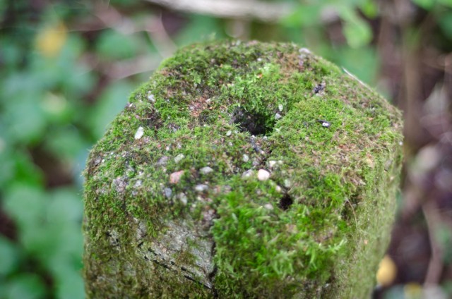 Stulpelio viršus
