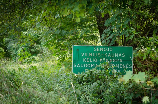 Žiūrint į tokį dilgėlyną, man, švelniai tariant, darosi gėda...