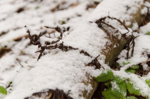Kuriuos okupantus mena ši viela teritorijos parimetre?