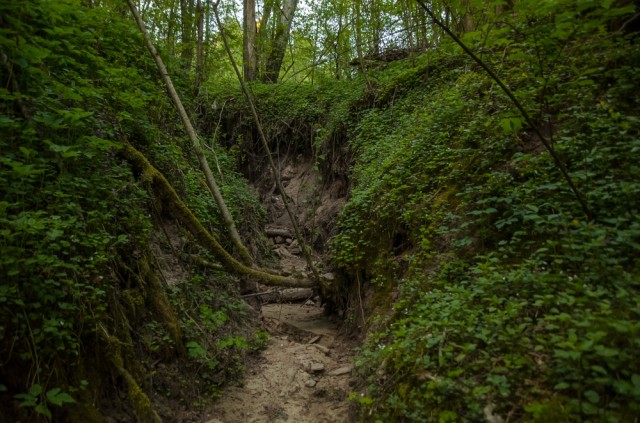 Takelis link urvo veda pro išdžiuvusią upelio vagą