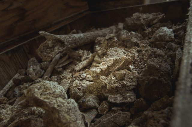 Pamiršti archeologinių kasinėjimų radiniai apleistoje Sirakūzų archeologinio parko dalyje