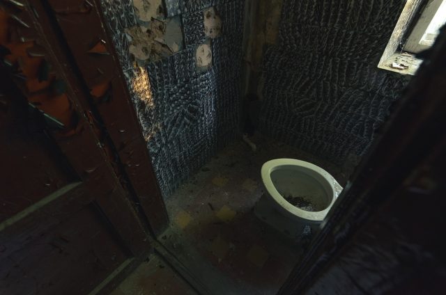 Reto retumo sienų plytelės