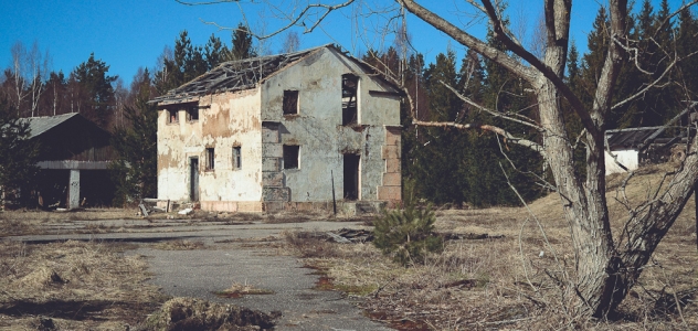 Tyli paslaptis pajūrio miškuose