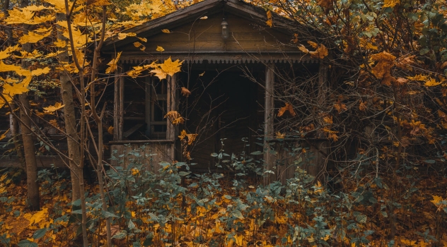 Lietuva šiandien (01). Apleistos sodybos
